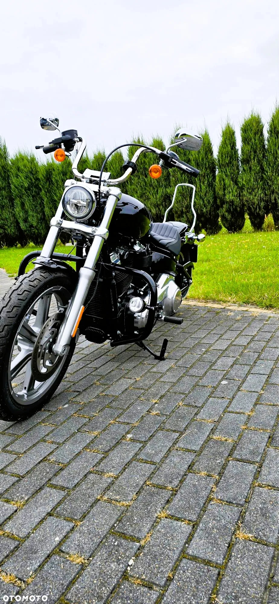 Harley-Davidson Softail Standard - 3