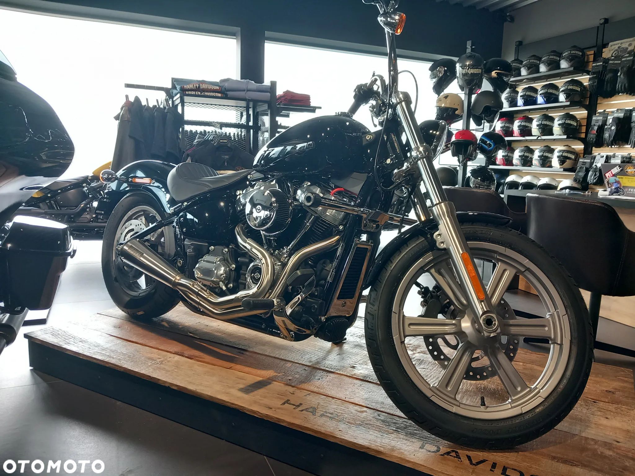 Harley-Davidson Softail Standard - 1
