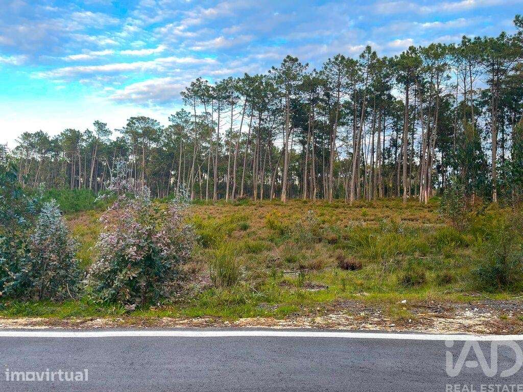 Terreno para construção em Monte Redondo e Carreira de 890,00 m2 - Grande imagem: 3/8