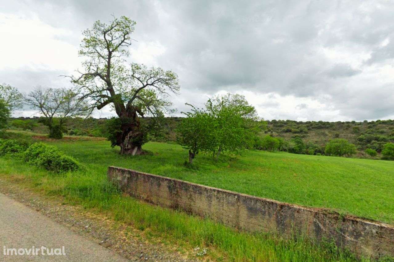 Terreno Agrícola para venda em Conlelas, Bragança - Grande imagem: 4/7