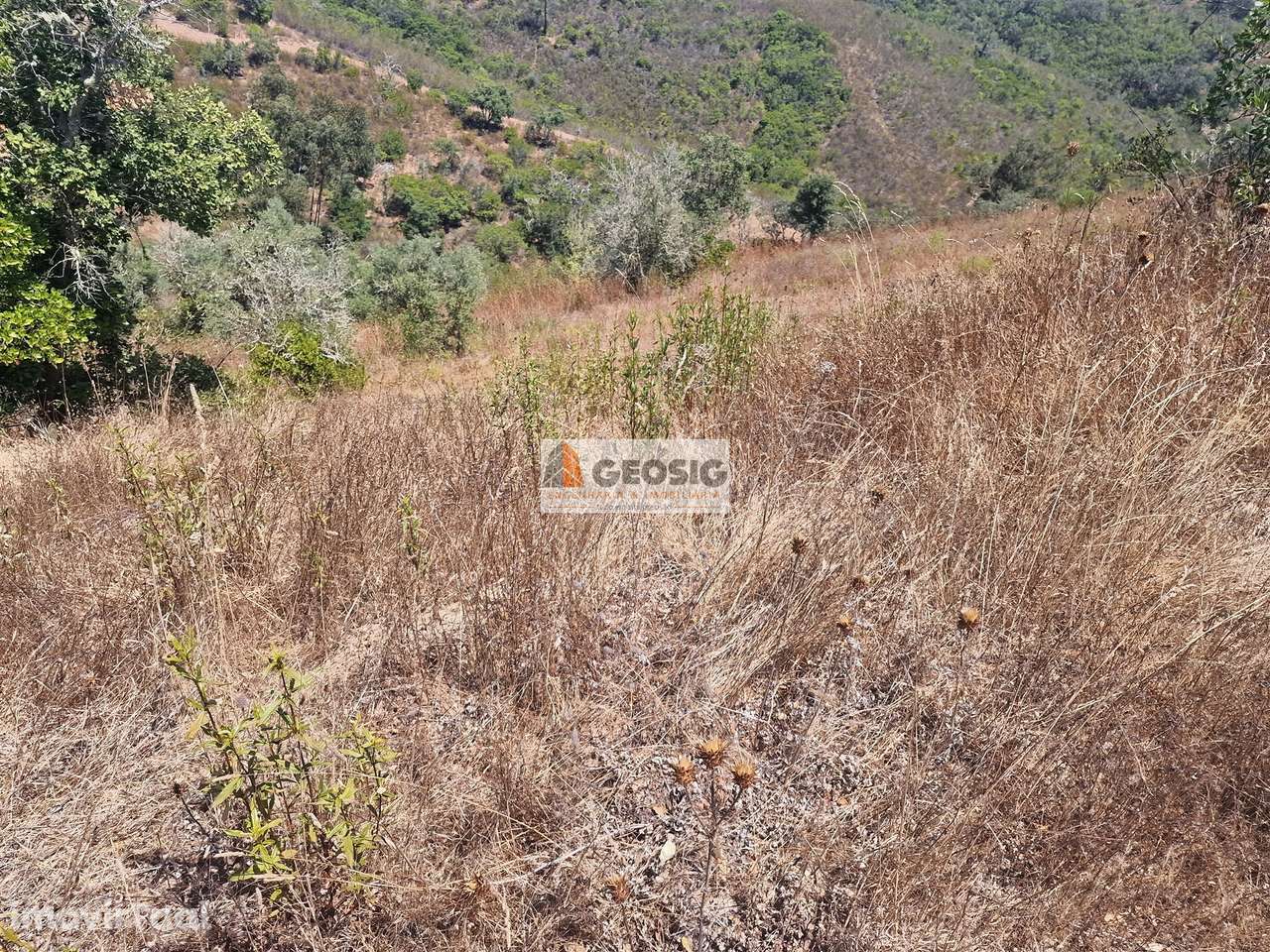 Terreno Rústico  Venda em Santana da Serra,Ourique - Grande imagem: 3/15
