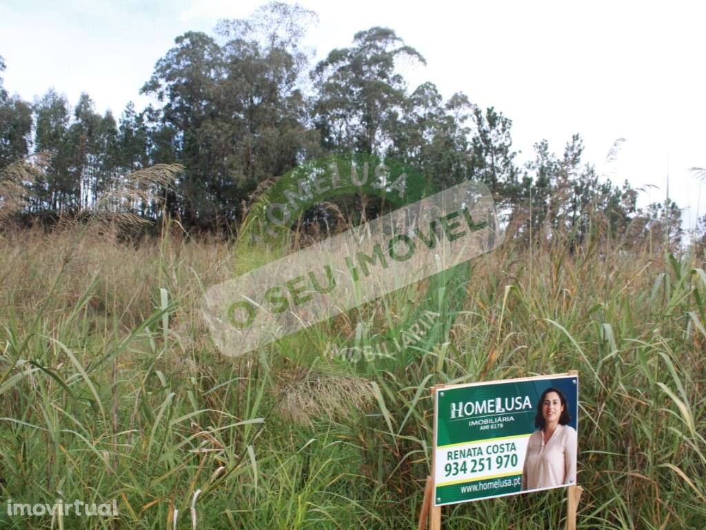 Terreno para Construção em Montemor-o-Velho - Grande imagem: 3/12
