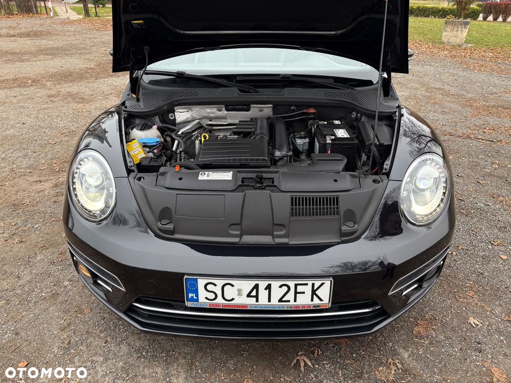 Volkswagen Beetle - 2