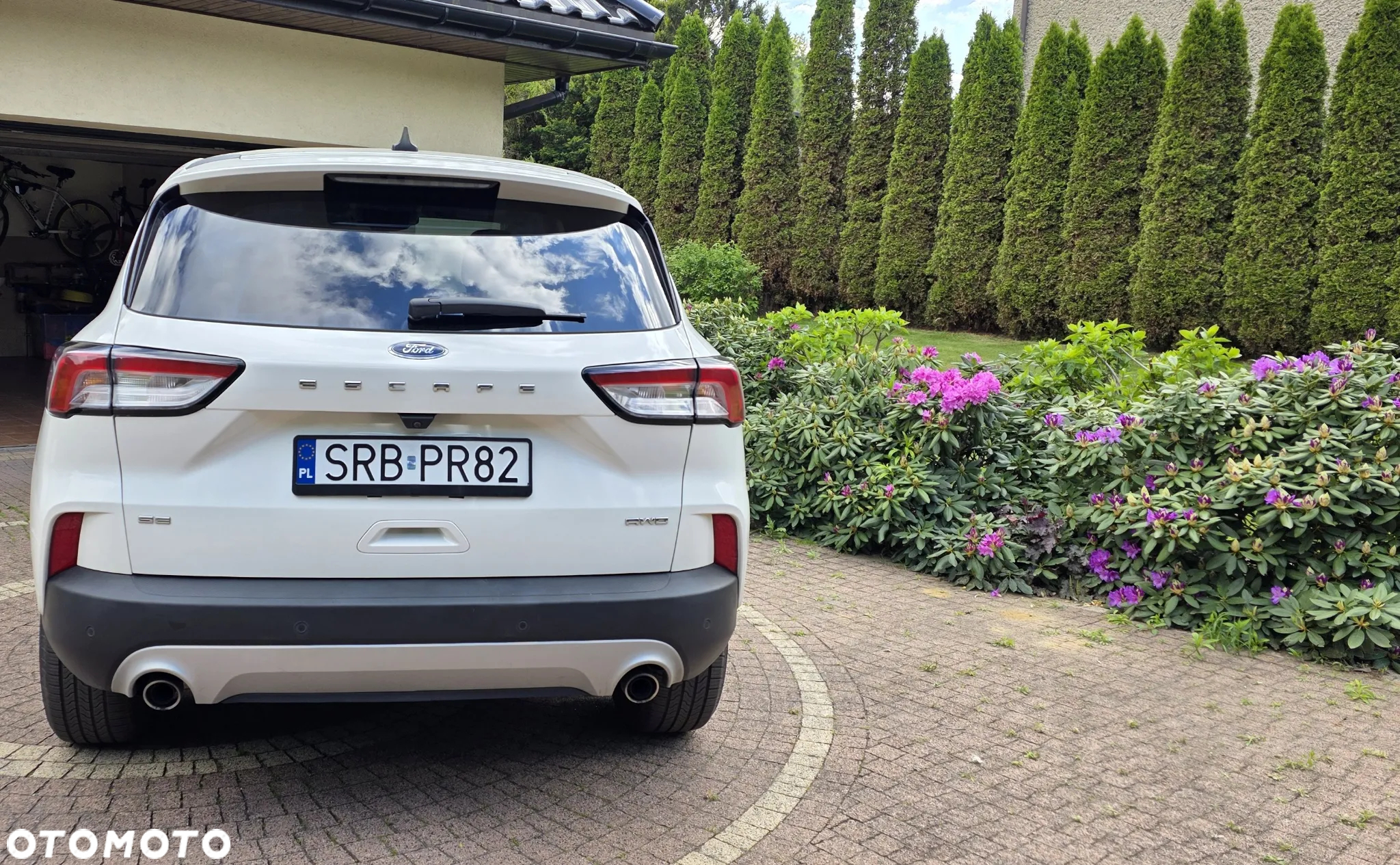 Ford Escape 1.5 EcoBoost AWD SE - 7