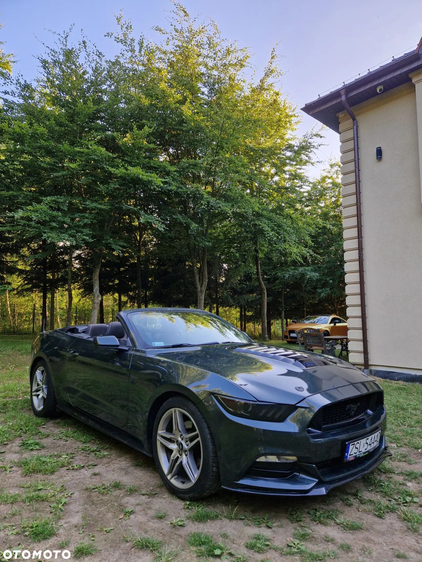 Ford Mustang 3.7 V6 - 1