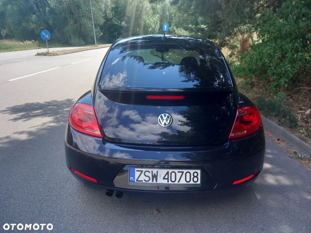 Volkswagen Beetle - 31