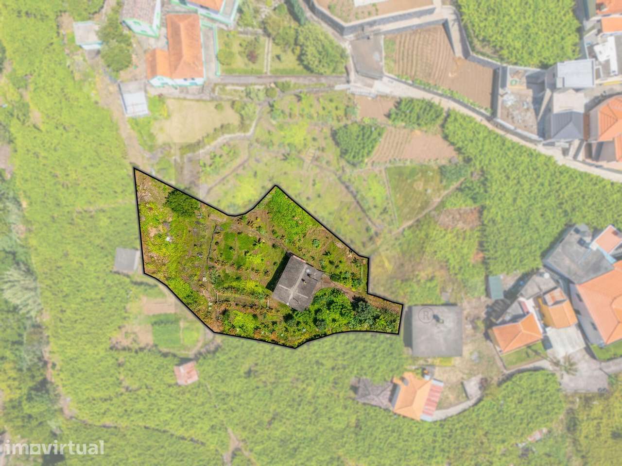 Terreno em S. Vicente | Com Armazém Agrícola - Grande imagem: 2/22