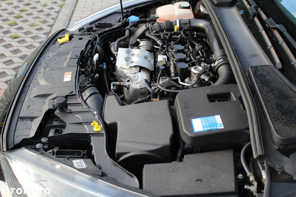 Ford Focus 1.0 EcoBoost ST-Line Black ASS - 24