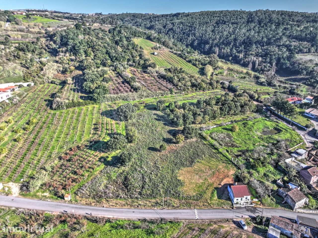 Terreno Rústico c/ 3.000m2 de Viabilidade de Construção - Grande imagem: 4/7
