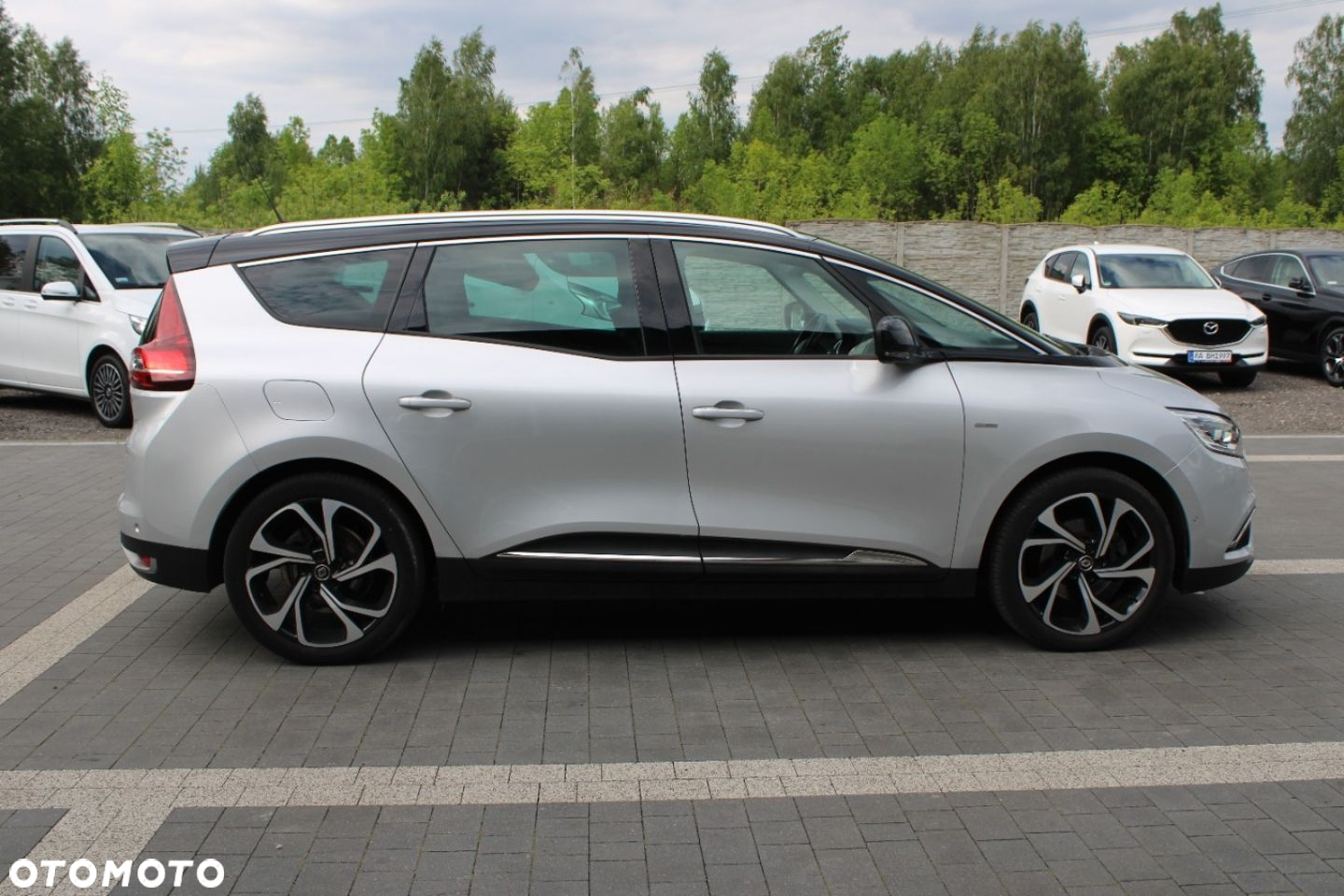 Renault Scenic - 8