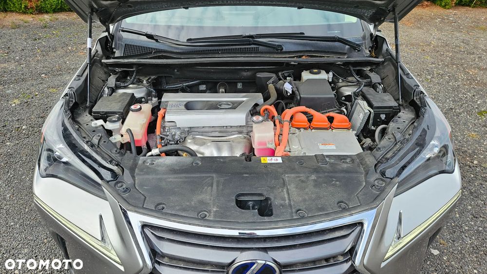 Lexus NX 300h - 5