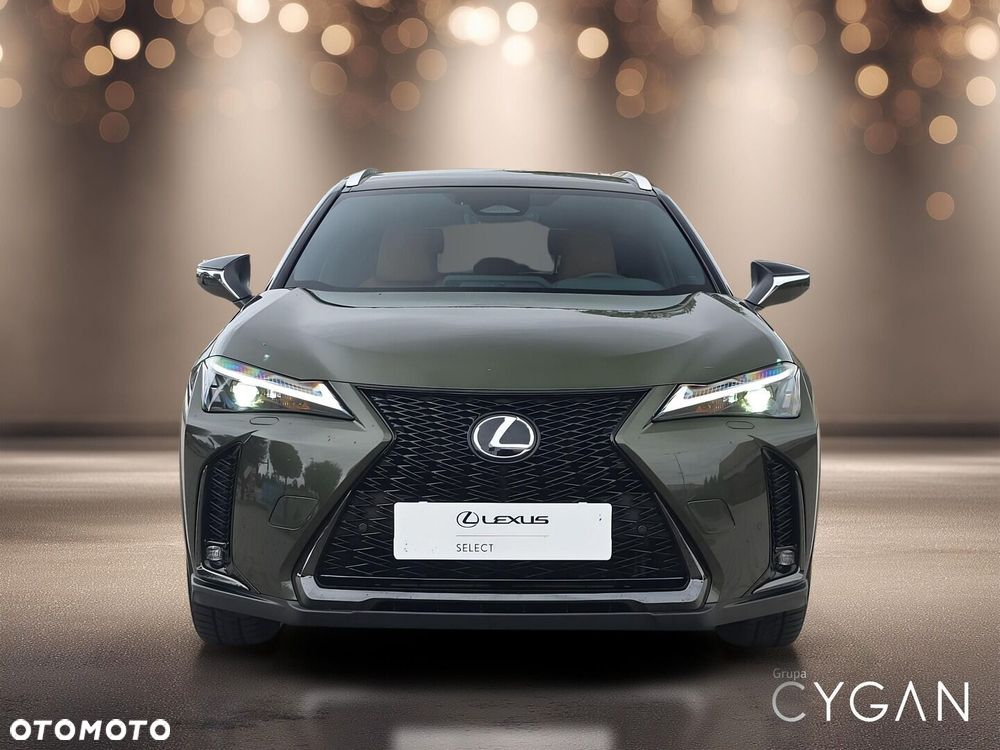Lexus UX 300h F Sport Design - 10