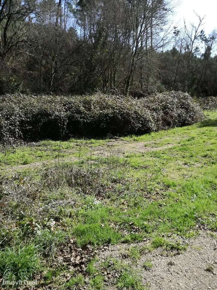 Terreno, Viana do Castelo, Monção - Grande imagem: 3/10