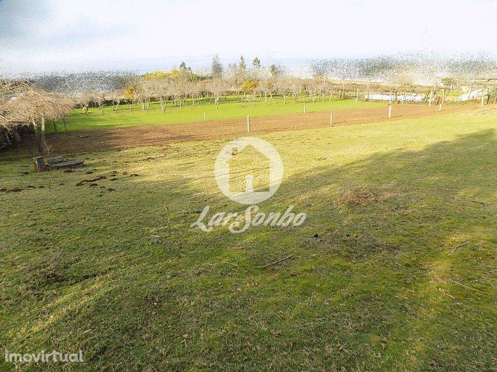 Terreno c/4900m2 - Covelas, Trofa - Grande imagem: 2/7