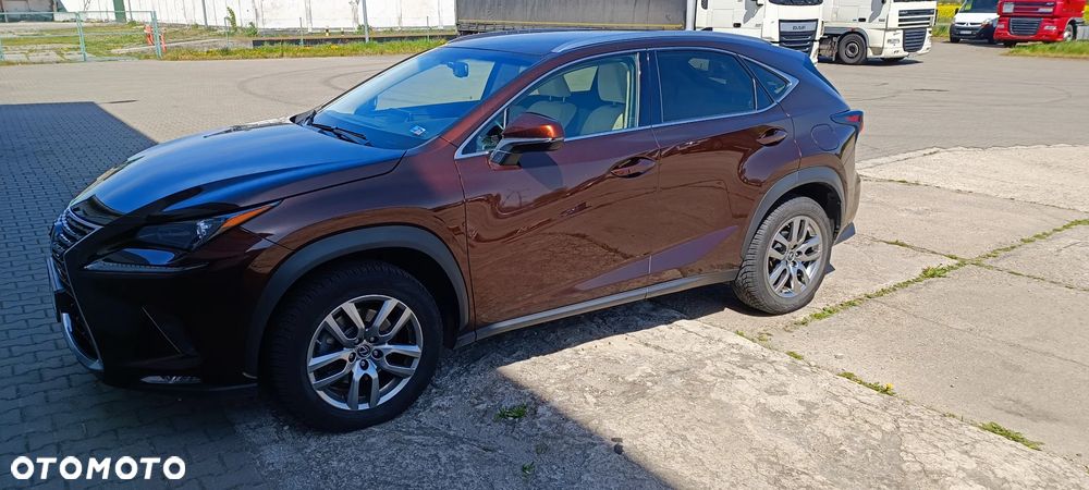 Lexus NX 300 Elegance AWD - 4