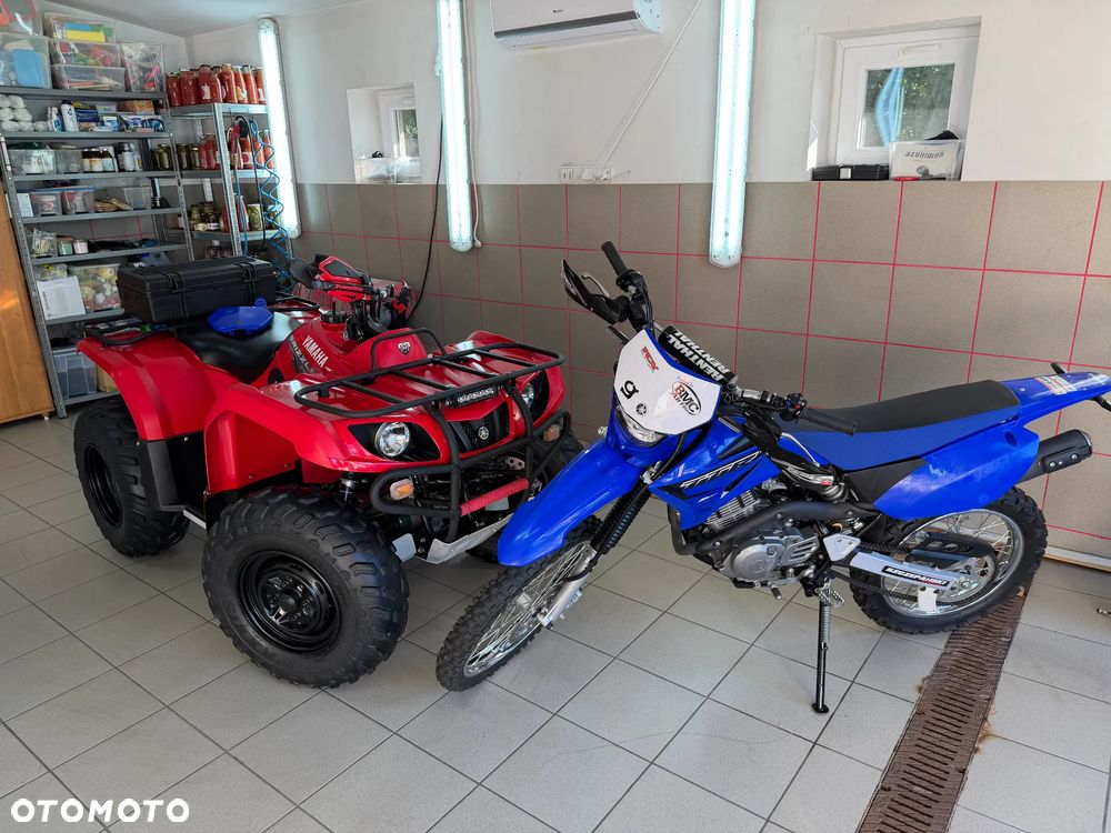 Yamaha Grizzly - 39