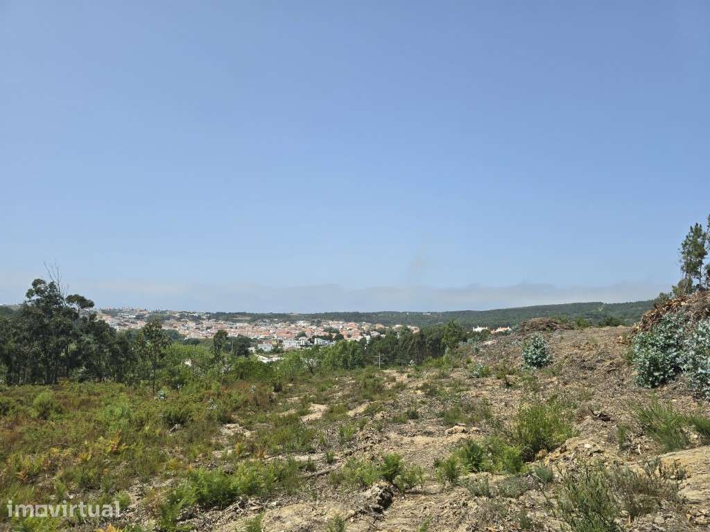 Terreno com PIP Válido e Vista Desafogada - Foz do Arelho - Grande imagem: 4/9