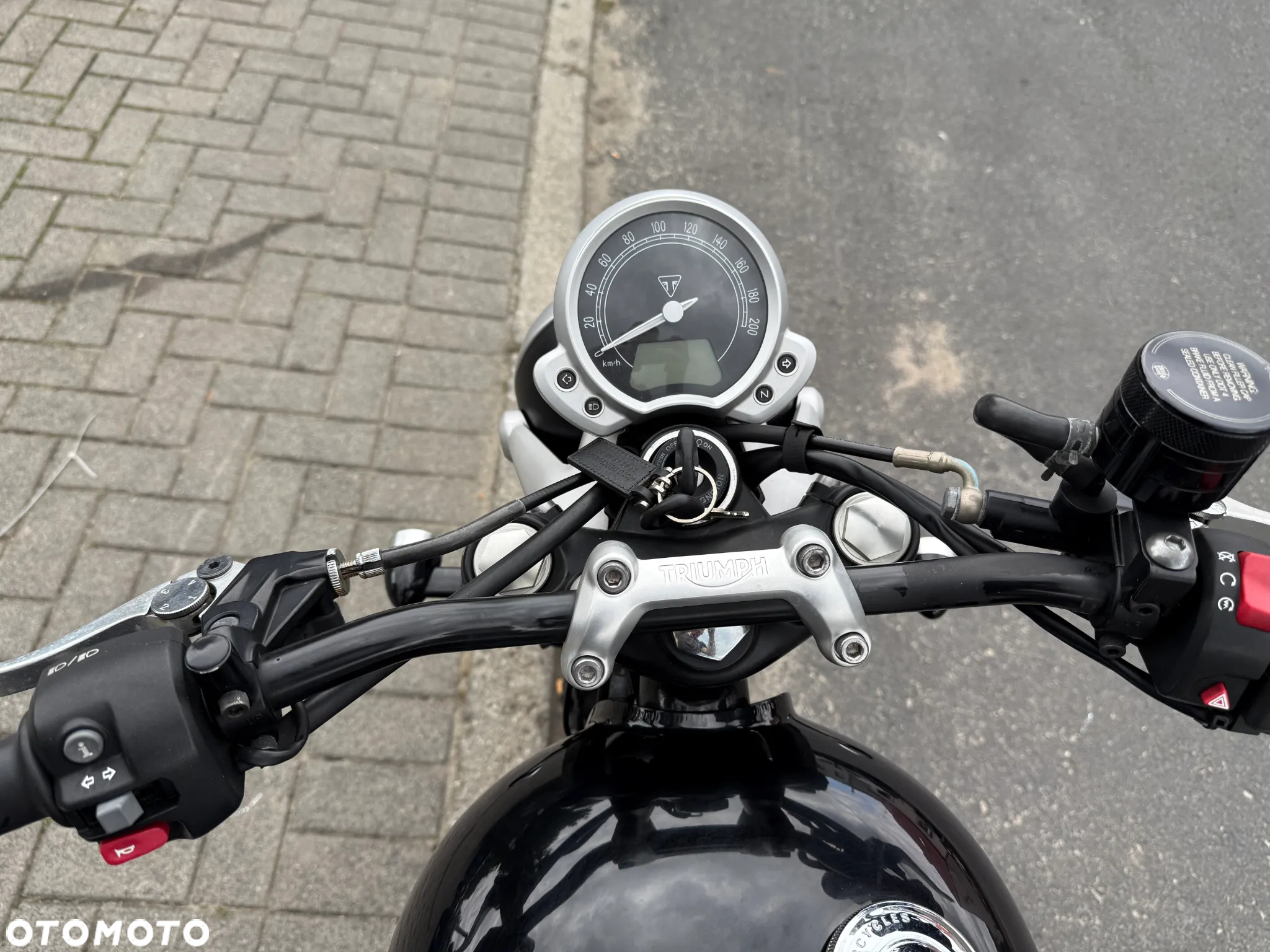 Triumph Speed Twin - 9