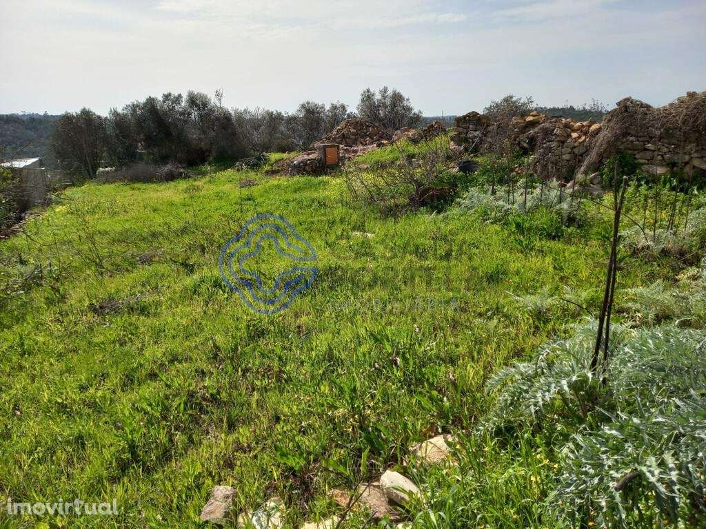 Terreno com Ruína próximo da Cidade de Tomar no Centro de Portugal - Grande imagem: 4/40