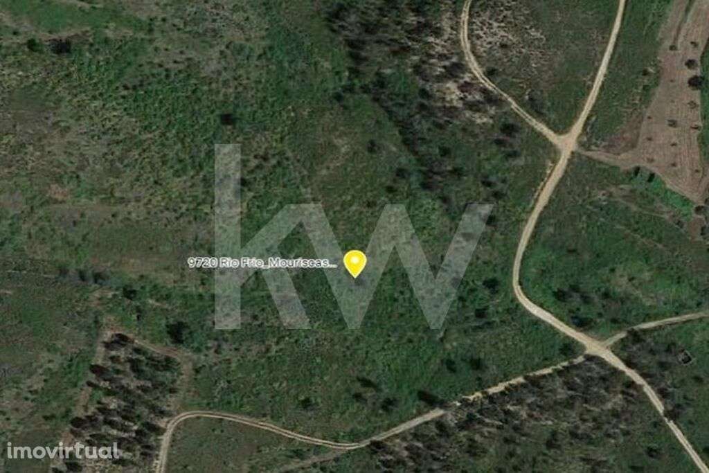 Terreno Rústico  9.720 m2  Abrantes  Mouriscas - Grande imagem: 3/7