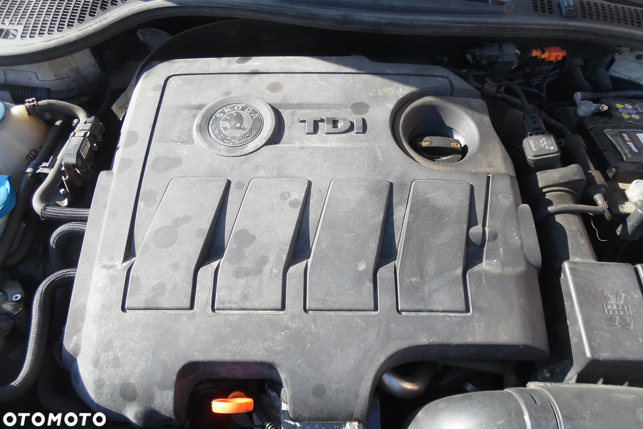 Skoda Octavia 1.6 TDI 4x4 Elegance - 22