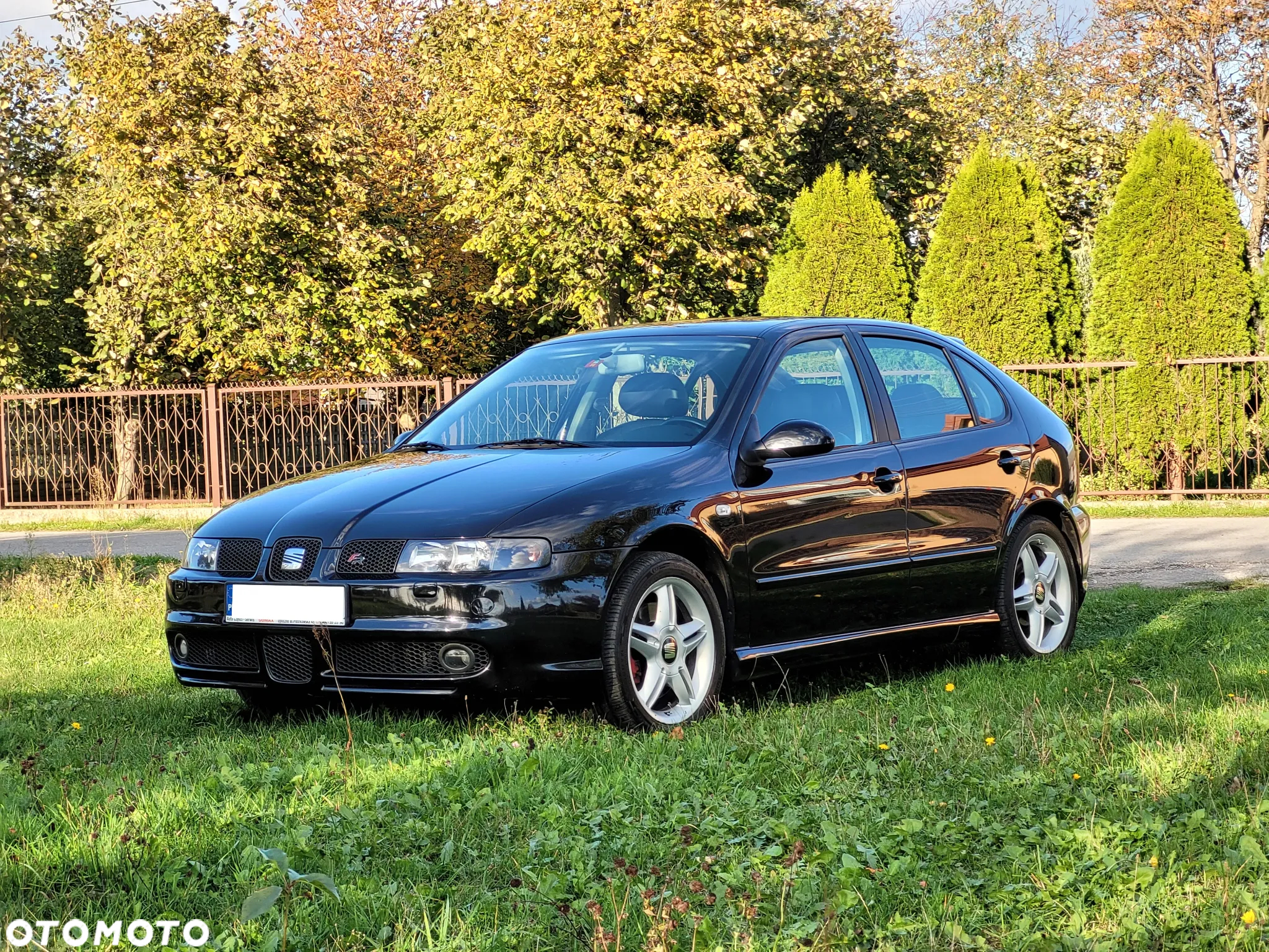 Seat Leon 1.8T Top Sport 4x4 - 2
