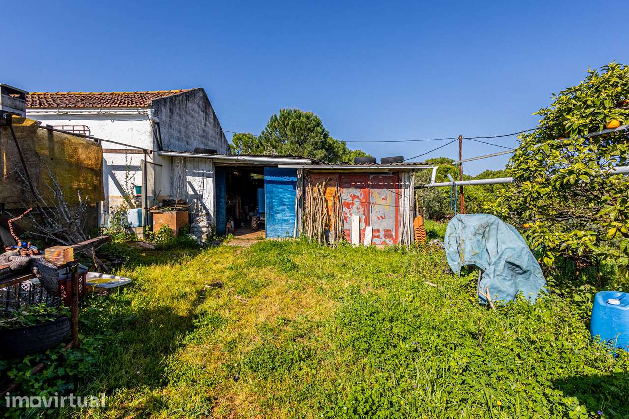 Apresento terreno agrícola com apoio habitacional T2 no Cartaxo - Grande imagem: 3/32