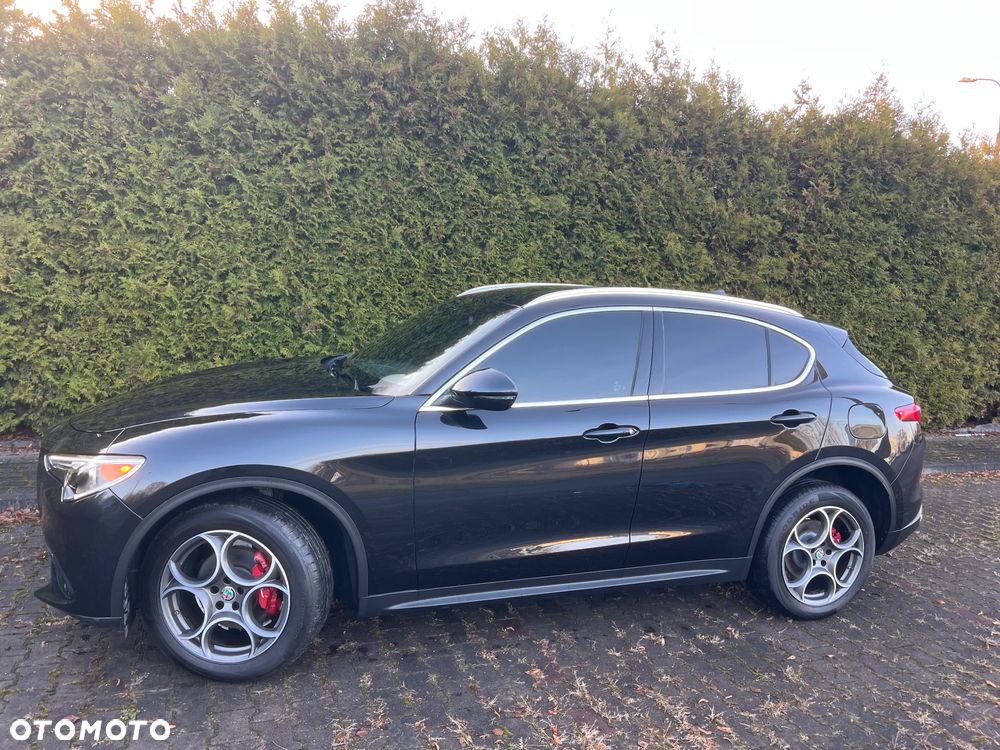 Alfa Romeo Stelvio 2.0 Turbo 16V AT8-Q4 Executive - 5