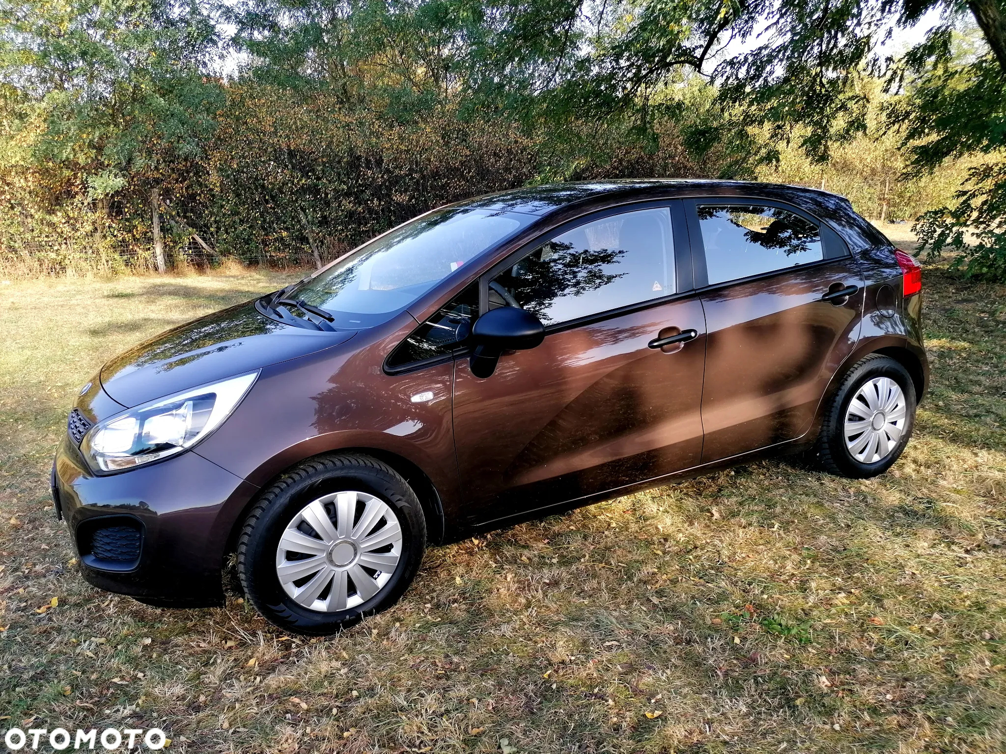 Kia Rio 1.4 Dream Team Edition - 10