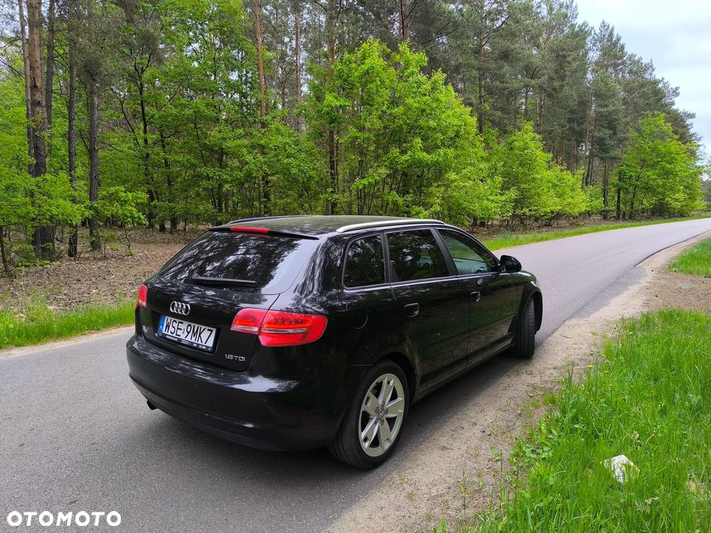 Audi A3 Sportback 1.6 TDI DPF Ambition - 5