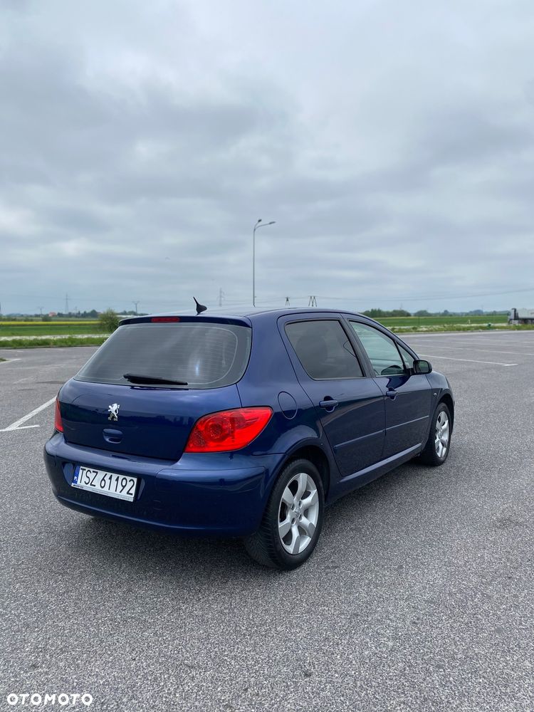 Peugeot 307 2.0 - 10