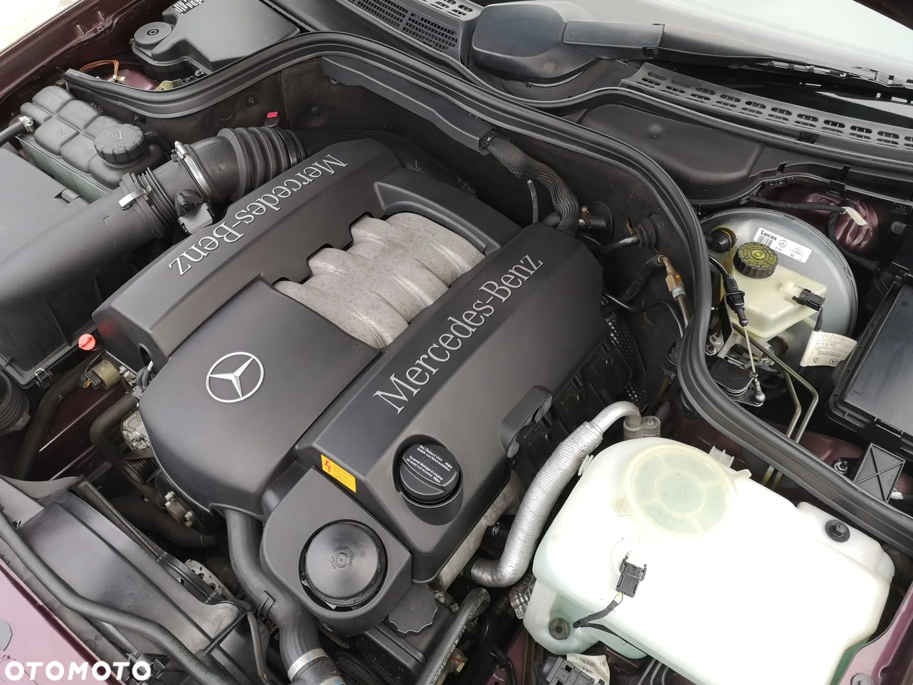 Mercedes-Benz CLK 320 - 17