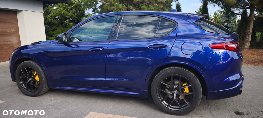 Alfa Romeo Stelvio 2.0 Turbo Veloce Q4 - 6