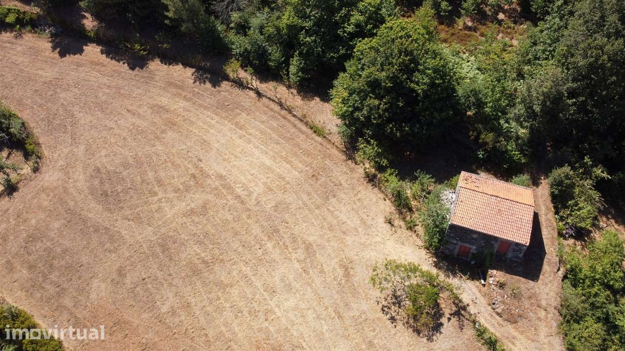 Quinta  Venda em Valezim,Seia - Grande imagem: 2/19