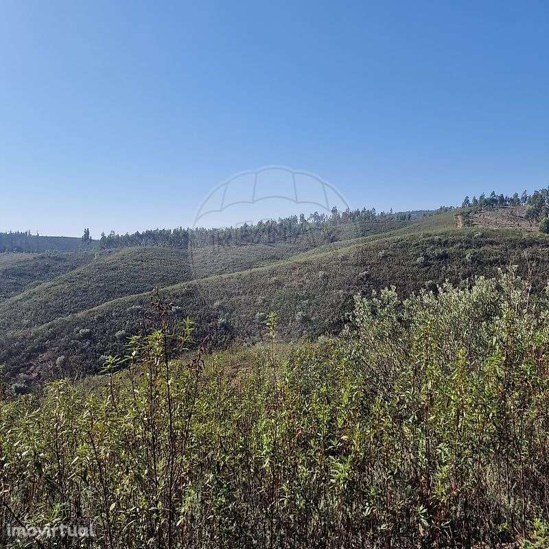 Terreno  para venda - Grande imagem: 4/10