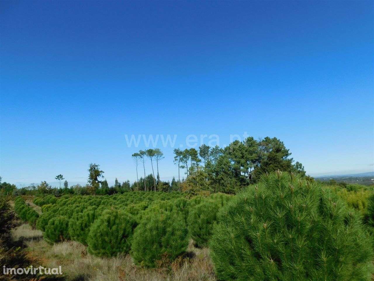 Terreno / Seia, Santiago - Grande imagem: 4/8