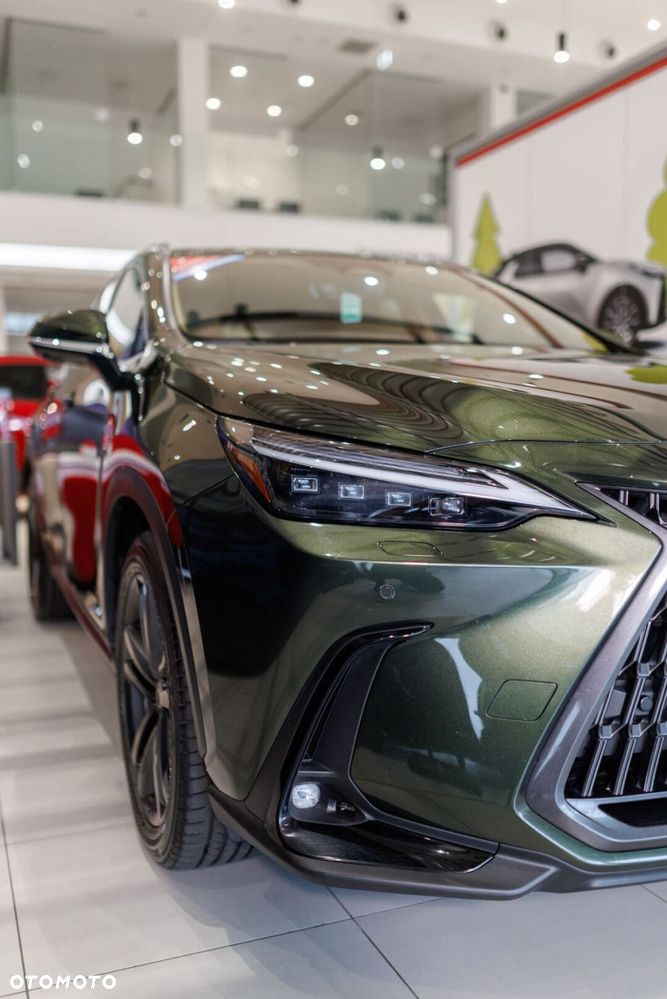 Lexus NX - 12