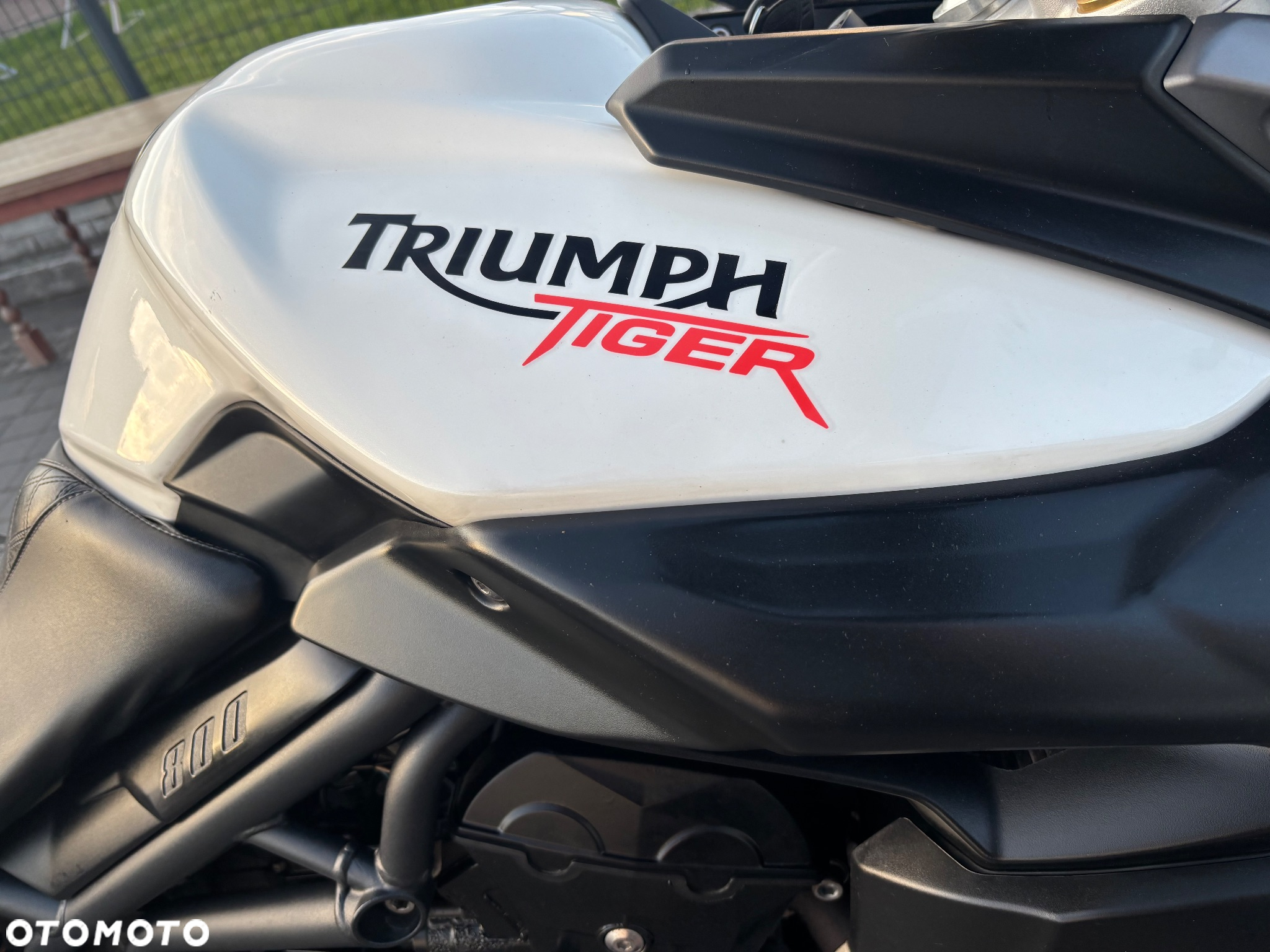 Triumph Tiger - 12