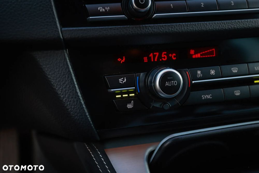 BMW Seria 5 520d - 30