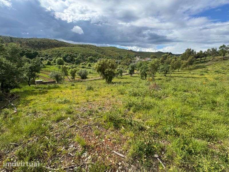 Terreno 10 mil metros quadrados - Grande imagem: 5/8