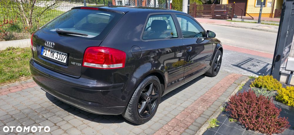 Audi A3 3-drzwiowe 1.9 TDIe DPF - 21