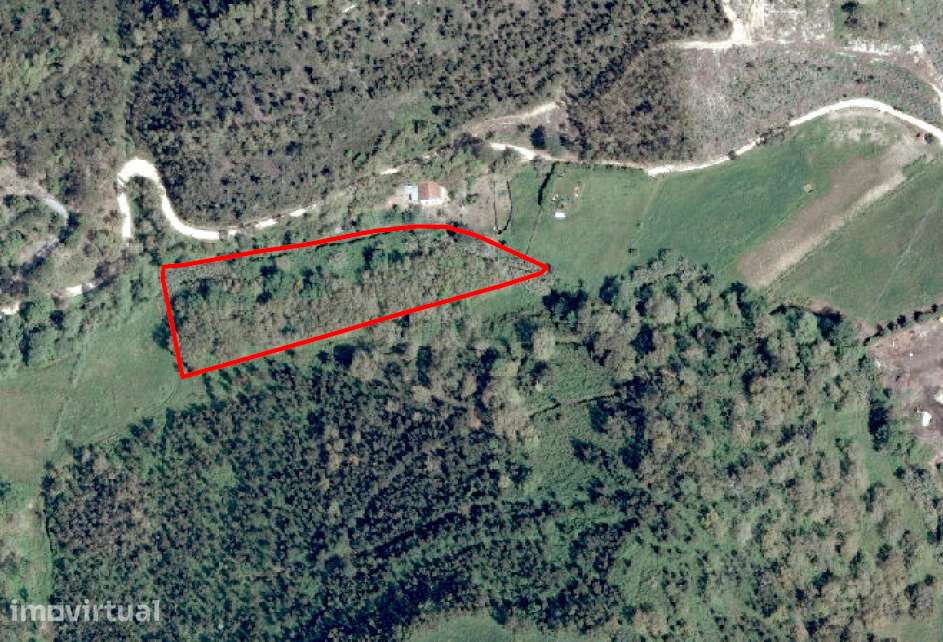 Refúgio Natural com Quase 7 Hectares no Gradil, Mafra - Grande imagem: 5/31