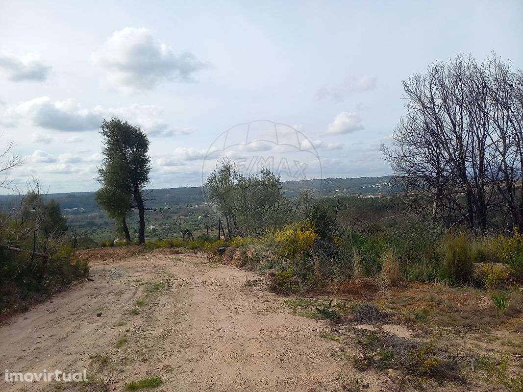 Terreno  para venda - Grande imagem: 3/12