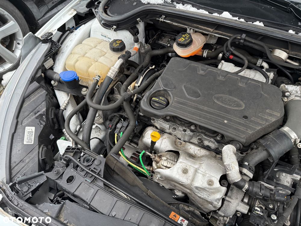 Ford Focus 1.5 EcoBlue Start-Stopp-System TITANIUM STYLE - 19