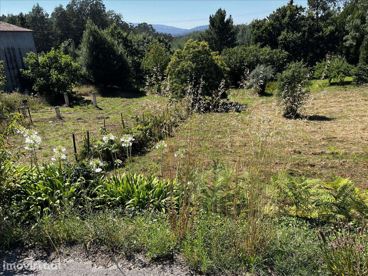 Terreno em Vila Nova de Poiares, Arrifana - Grande imagem: 2/11
