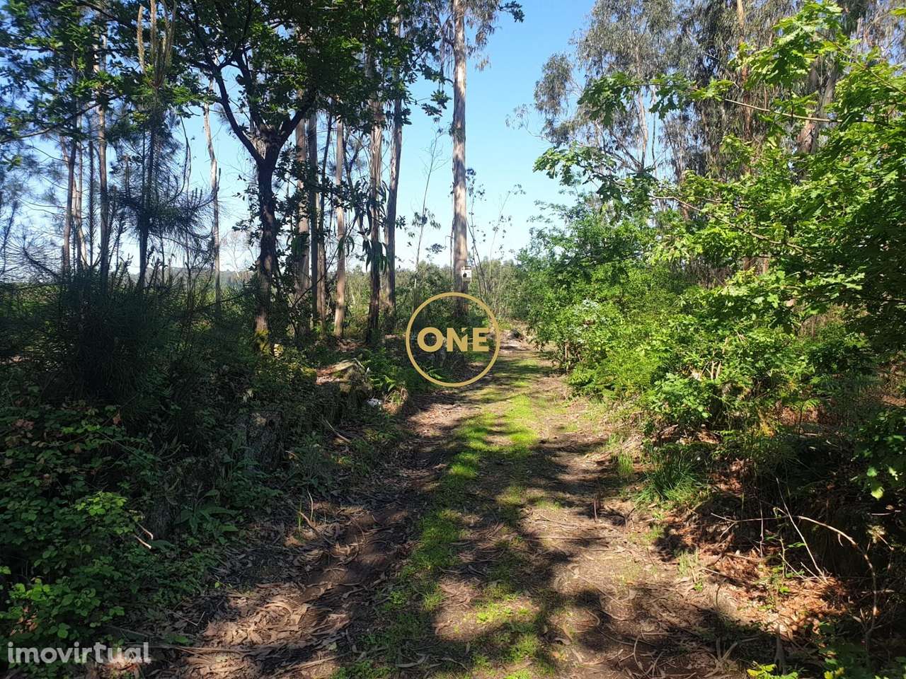 Terreno Rústico para Venda em Silveiros, Barcelos - Grande imagem: 4/7