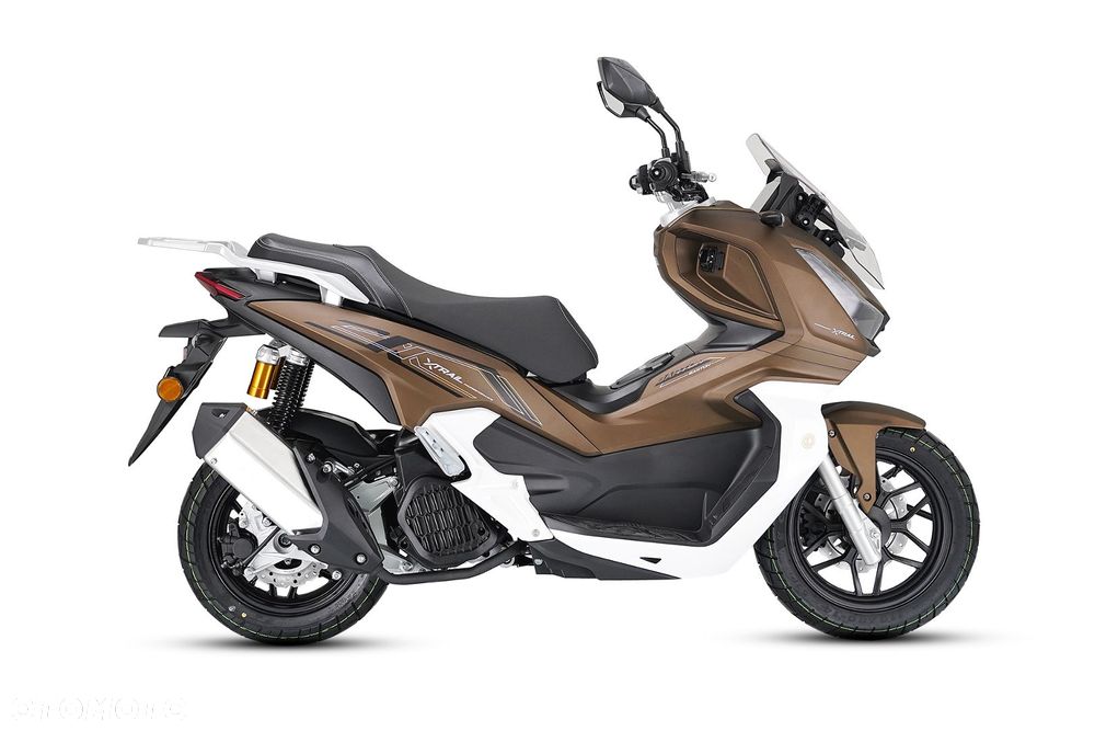 Barton X-Trail - 26