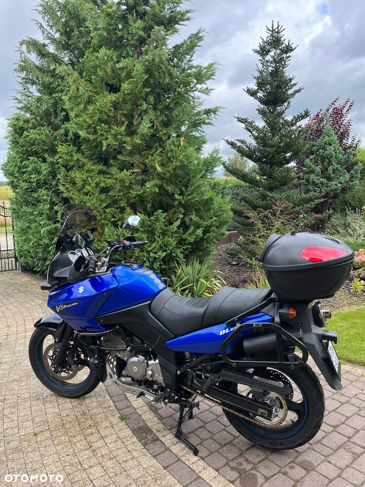 Suzuki DL - 12