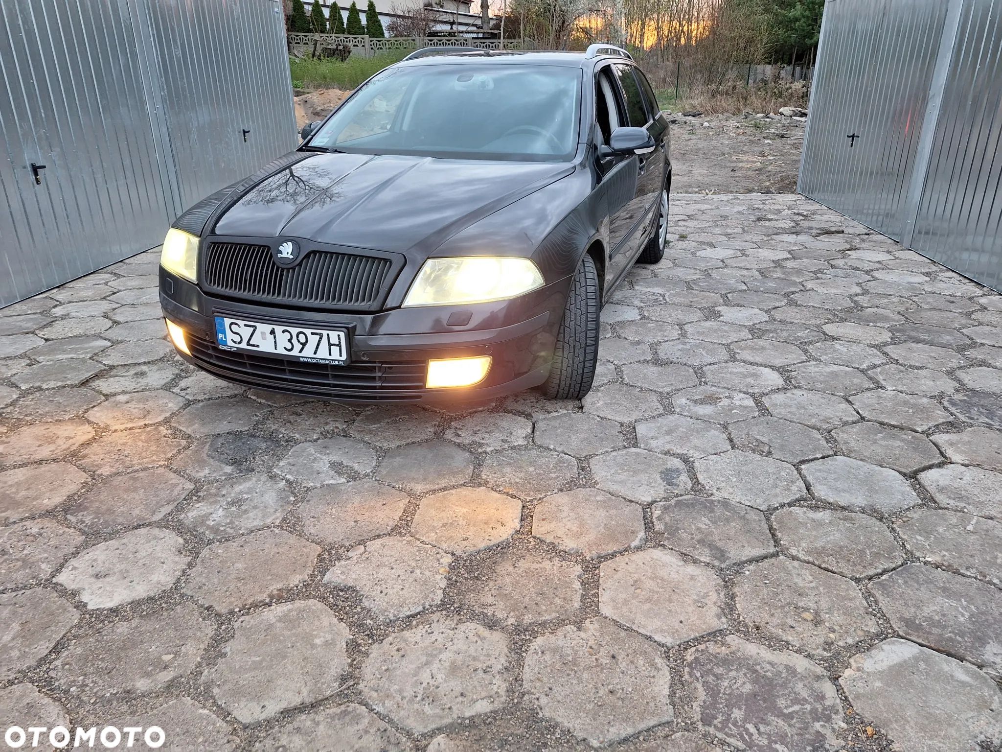 Skoda Octavia 1.9 TDI Classic - 1
