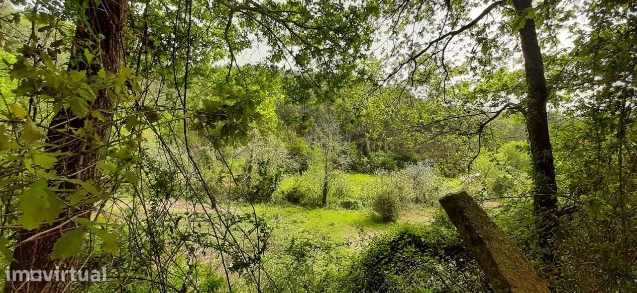 Terrenos – Sever do Vouga - Grande imagem: 4/30